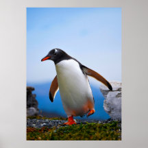 独自のイメージ写真テンプレートカスタムギフトの追加