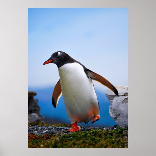 独自のイメージ写真テンプレートカスタムギフトの追加 ポスター (正面)