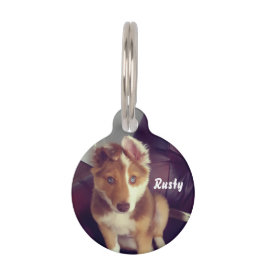 独自のカスタマイズ ペット　ネームタグ