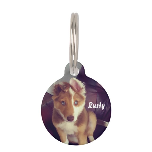 独自のカスタマイズ ペット　ネームタグ (正面)