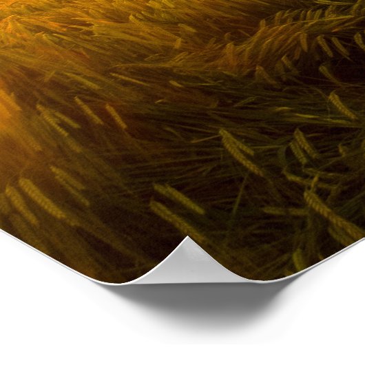 独自のカスタム引用文/文字ポスターの作成 ポスター (角)