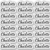 独自のスクリプエレガントト名パーソナライズされたの作成 シール (正面)