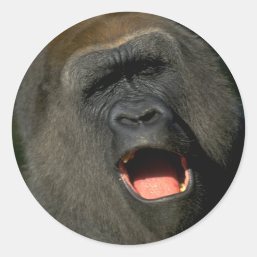 独自のステッカーを作成するためのステッカスタムカー ラウンドシール (正面)