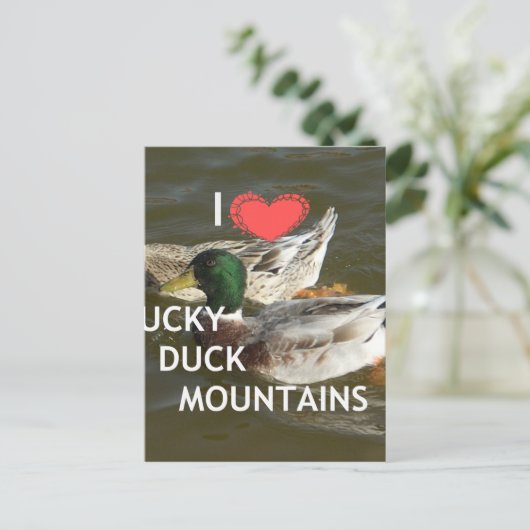 独自のダッキー(アヒルちゃん)ダック山を作成。 ポストカード (スタンド正面)