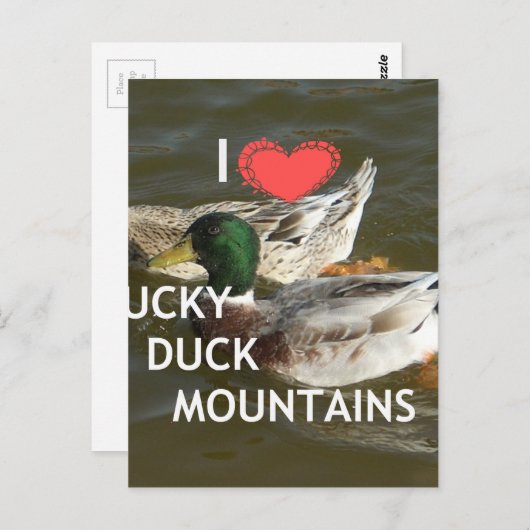 独自のダッキー(アヒルちゃん)ダック山を作成。 ポストカード (正面/裏面)