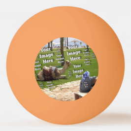 🤍独自のテンプレートのカスタム作成 卓球ボール