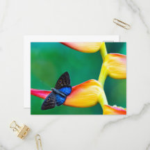 独自のパーソナライズされたカスタム写真テンプレート