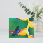 独自のパーソナライズされたカスタム写真テンプレート インビテーションポストカード (スタンド正面)