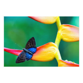 独自のパーソナライズされたカスタム写真テンプレート フォトプリント           