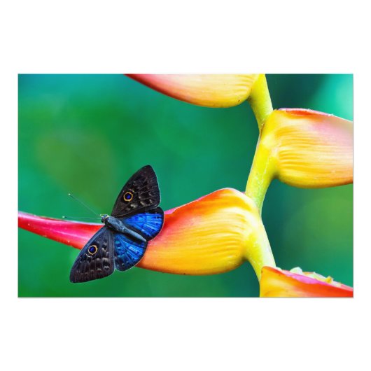 独自のパーソナライズされたカスタム写真テンプレート フォトプリント            (正面)