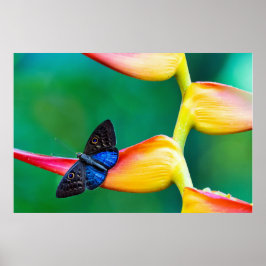 独自のパーソナライズされたカスタム写真テンプレート ポスター