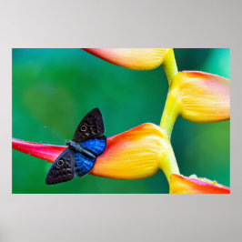 独自のパーソナライズされたカスタム写真テンプレート ポスター