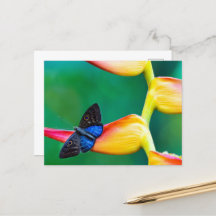 独自のパーソナライズされたカスタム写真テンプレート