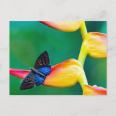 独自のパーソナライズされたカスタム写真テンプレート ポストカード (正面)