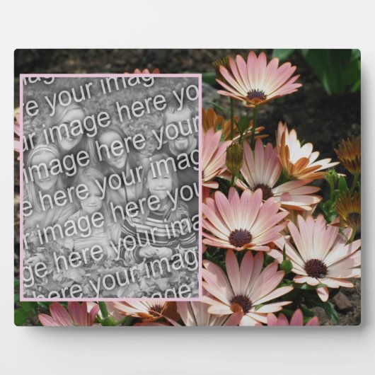 独自のピンクのアフリカの花のデイジー写真を作成 フォトプラーク (正面)