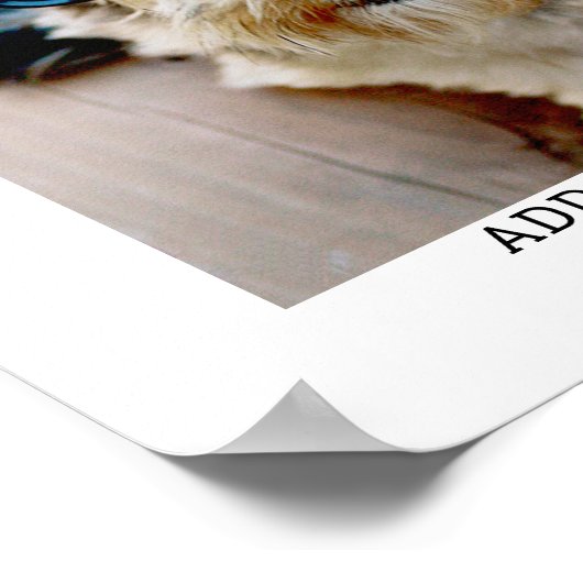 独自のフォトギャラリ独身のーを白に縁ど作成 ポスター (角)