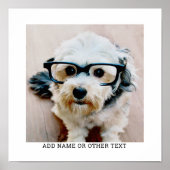 独自のフォトギャラリ独身のーを白に縁ど作成 ポスター (正面)