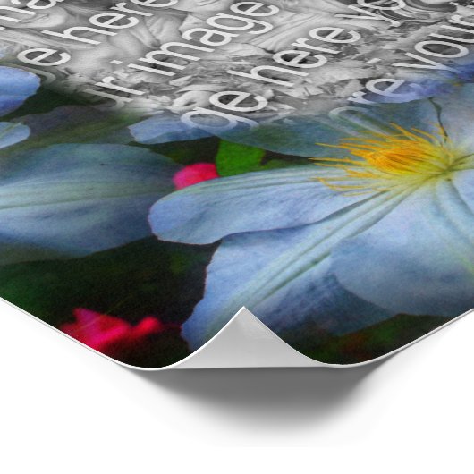 独自のフォトクリマティスの花を作成縁ど ポスター (角)