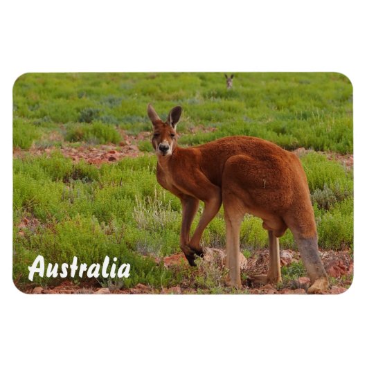 独自のフォトマグネットを作成する マグネット (横)