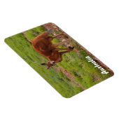 独自のフォトマグネットを作成する マグネット (右側)