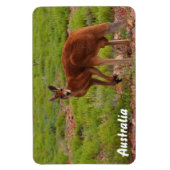 独自のフォトマグネットを作成する マグネット (縦)