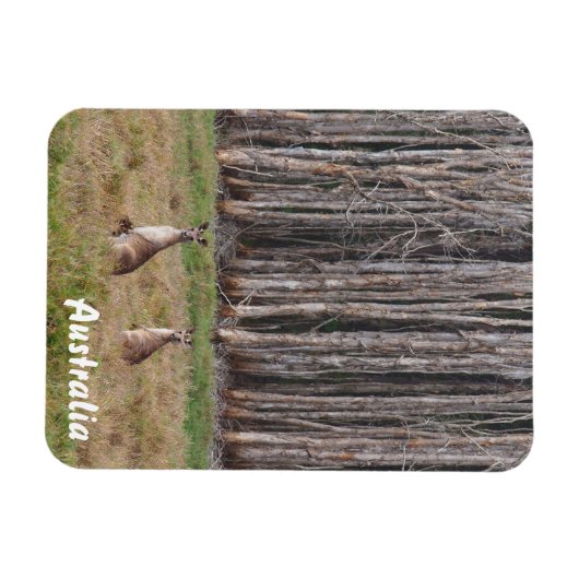 独自のフォトマグネットを作成する マグネット (横)