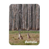 独自のフォトマグネットを作成する マグネット (縦)