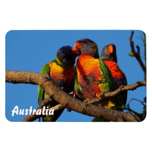 独自のフォトマグネットを作成する マグネット (横)