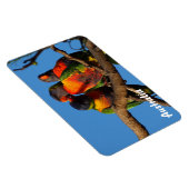 独自のフォトマグネットを作成する マグネット (右側)