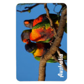 独自のフォトマグネットを作成する マグネット (縦)