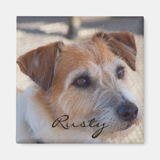 独自のフォトマグネットを作成 マグネット