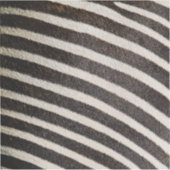 独自のプロフェッショナル シール (正面)