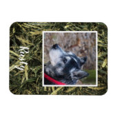 独自のペットフォト磁石を作成する マグネット (横)