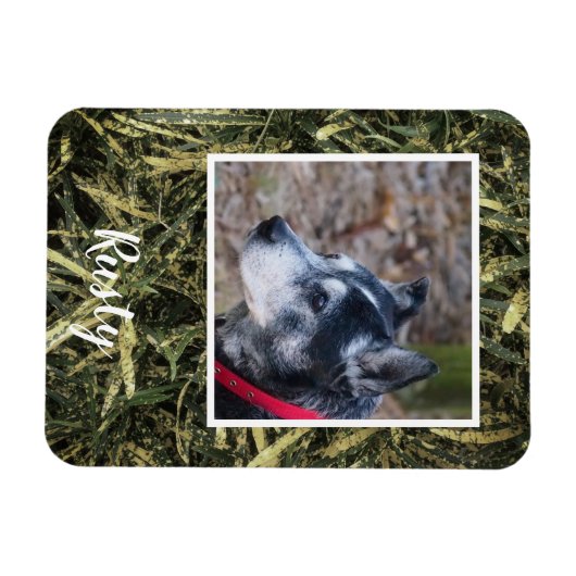 独自のペットフォト磁石を作成する マグネット (横)