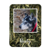 独自のペットフォト磁石を作成する マグネット (縦)