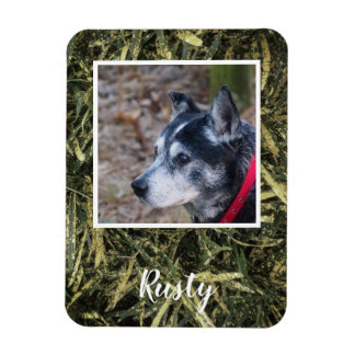 独自のペットフォト磁石を作成する マグネット