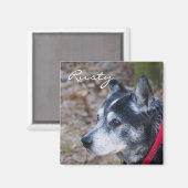 独自のペット磁石を作成する マグネット (正面/裏面)