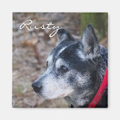 独自のペット磁石を作成する マグネット (正面)