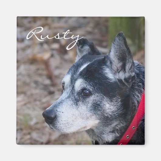 独自のペット磁石を作成する マグネット (正面)