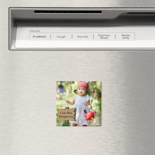 独自のマグネットを作成し、写真とメッセージを追加 マグネット (インサイチュ (食洗機))