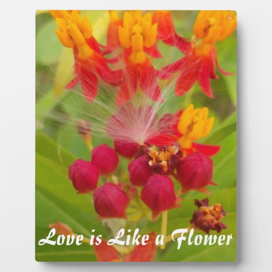 独自のライブライフの大製品を作カスタマイズ成 フォトプラーク (正面)