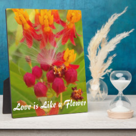 独自のライブライフの大製品を作カスタマイズ成 フォトプラーク