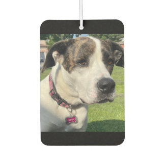 独自の作成 カーエアーフレッシュナー