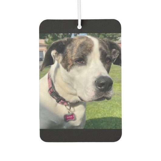 独自の作成 カーエアーフレッシュナー (正面)