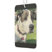 独自の作成 カーエアーフレッシュナー (左)