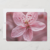 独自の作成 – ピンクかわいらしの花クローズアップ セーブザデート (裏面)