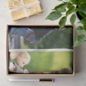 独自の写真のコラージュと文字を作成 薄葉紙 (ギフト)