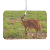 独自の写真を作成する空気フレッシュナー – red kangaroo カーエアーフレッシュナー (裏面)