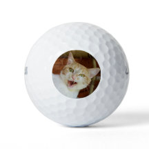 独自の写真テンプレート