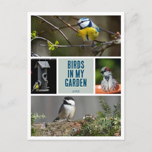 独自の庭の鳥の写真コレクションを作成 ポストカード (正面)